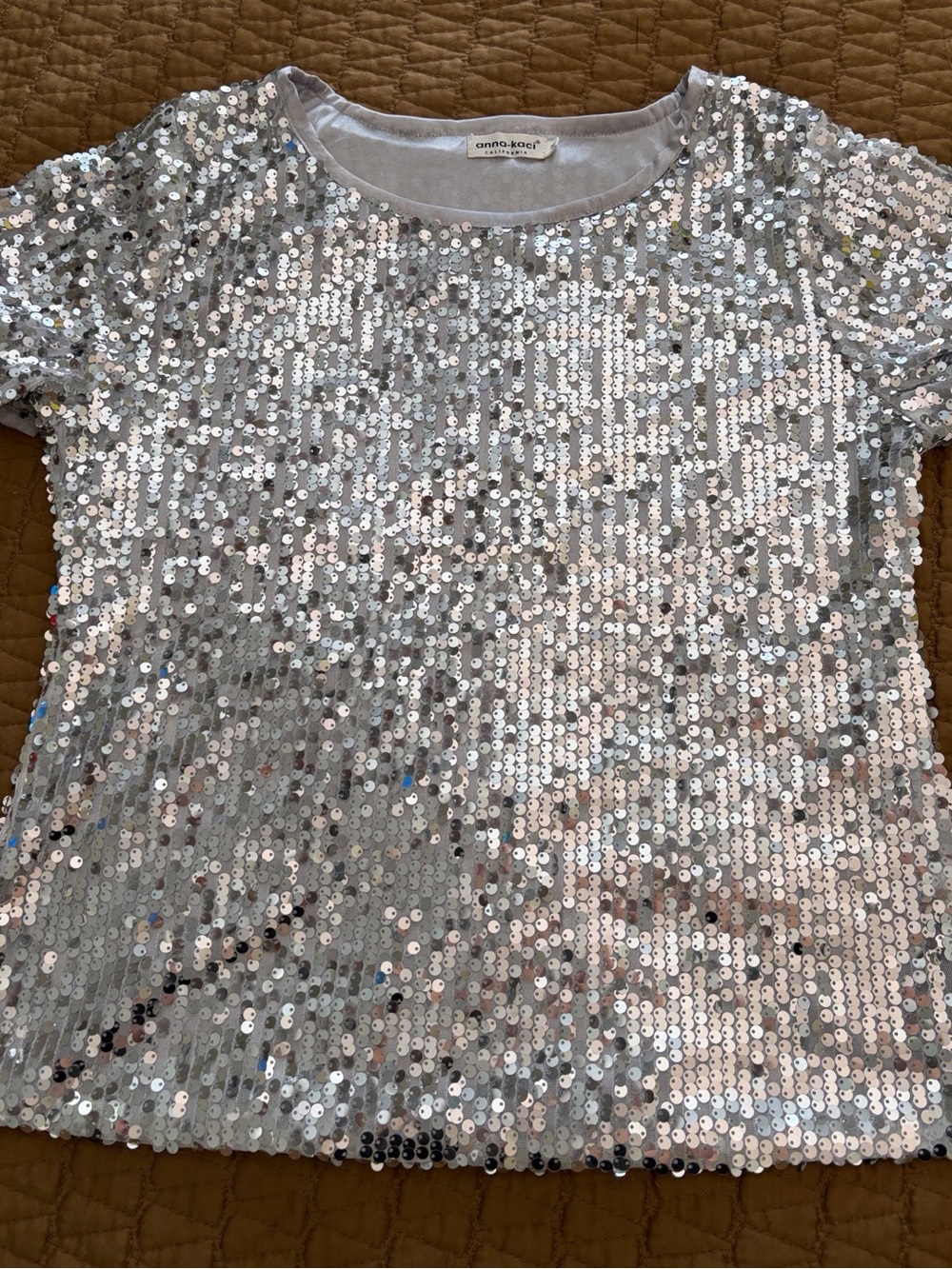 Anna-Kaci Women's Silver Sequin Short Sleeve Top